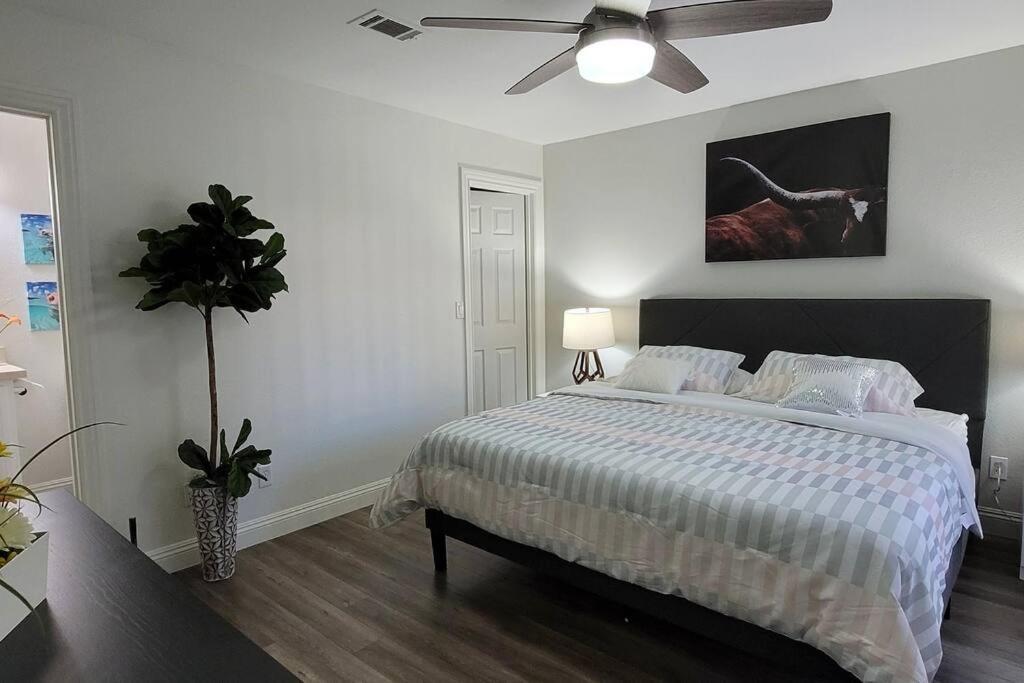 L - Fully Remodeled And Professionally Decorated Las Vegas Exterior photo